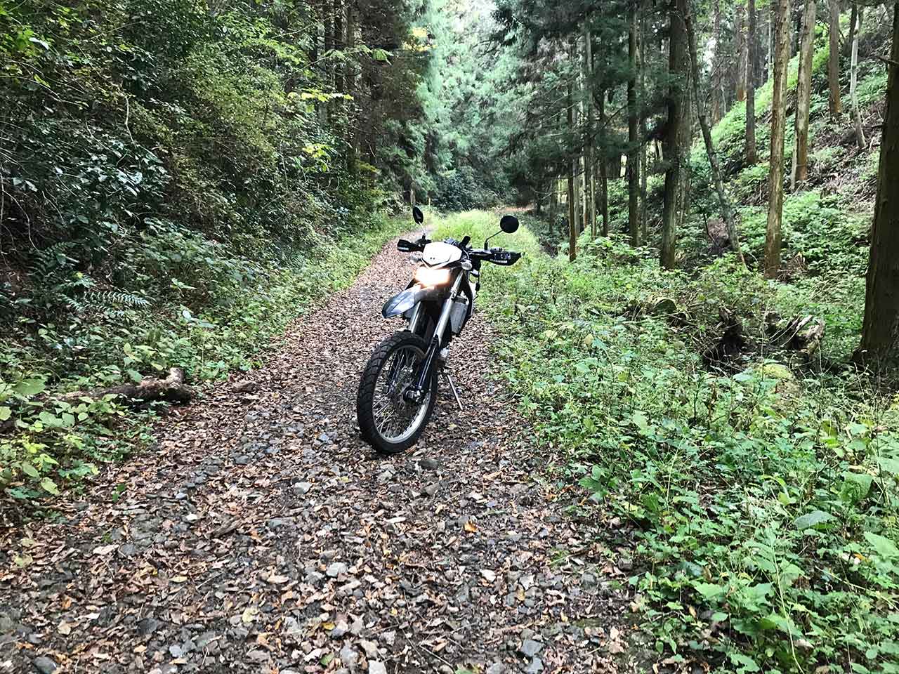 はじめての林道ツーリングへ行ってみた!