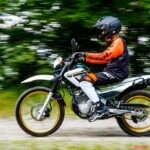 本年もありがとうございました。