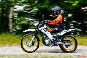 本年もありがとうございました。