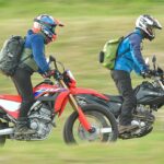 芝・犬ラリーツーリングB面